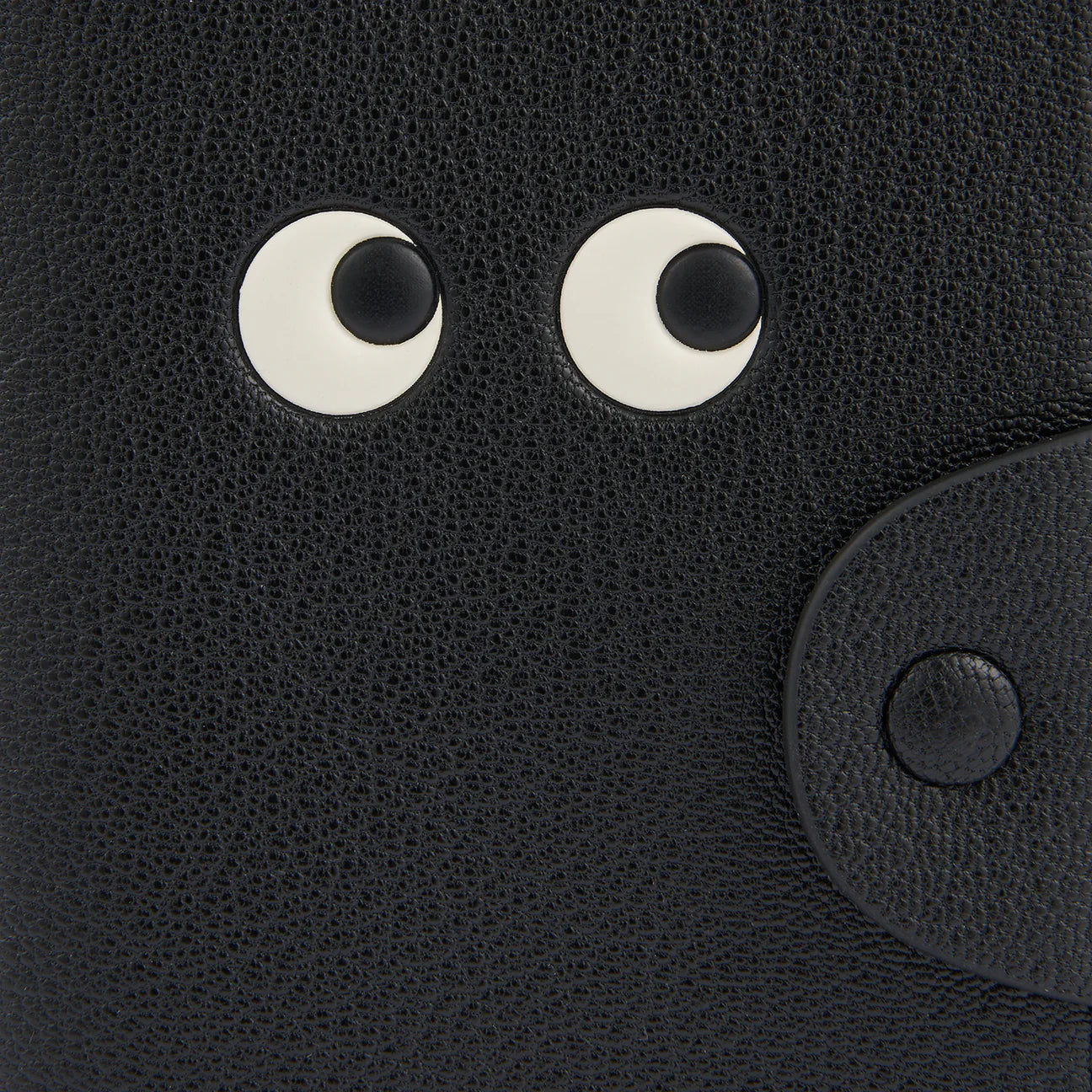 AH Passport Case Eyes in Black