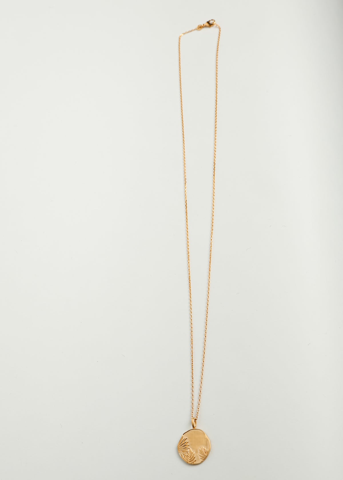 YLUME Long Medallion Necklace